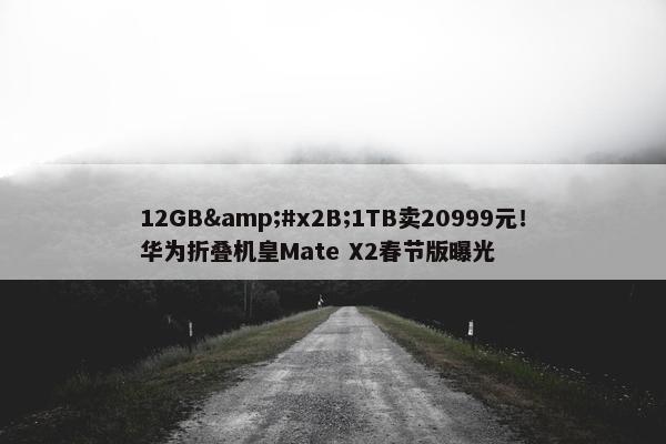 12GB&#x2B;1TB卖20999元！华为折叠机皇Mate X2春节版曝光