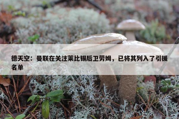 德天空：曼联在关注莱比锡后卫劳姆，已将其列入了引援名单