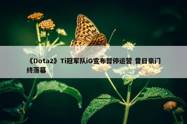 《Dota2》Ti冠军队iG宣布暂停运营 昔日豪门终落幕