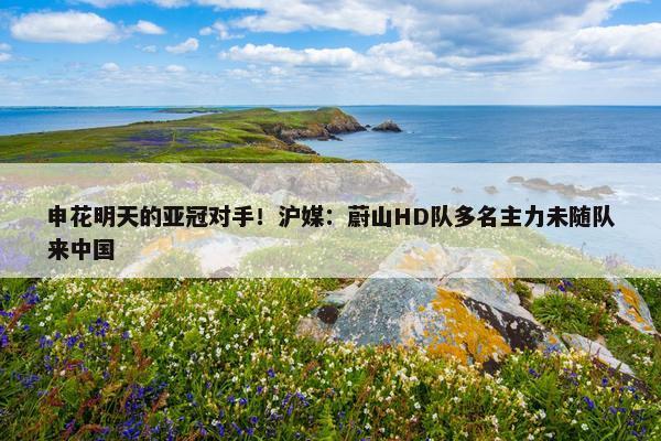 申花明天的亚冠对手！沪媒：蔚山HD队多名主力未随队来中国