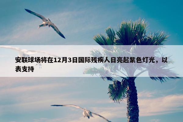 安联球场将在12月3日国际残疾人日亮起紫色灯光，以表支持