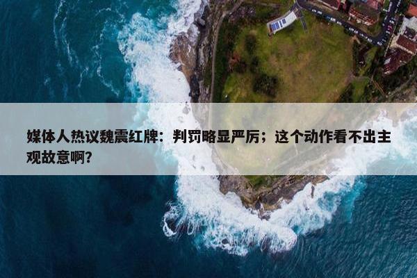 媒体人热议魏震红牌：判罚略显严厉；这个动作看不出主观故意啊？