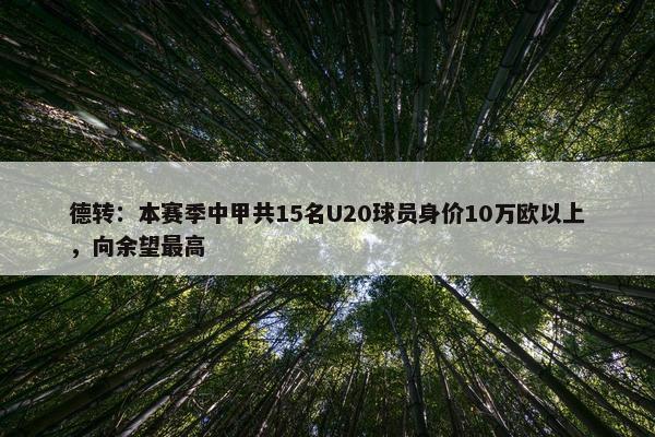 德转：本赛季中甲共15名U20球员身价10万欧以上，向余望最高