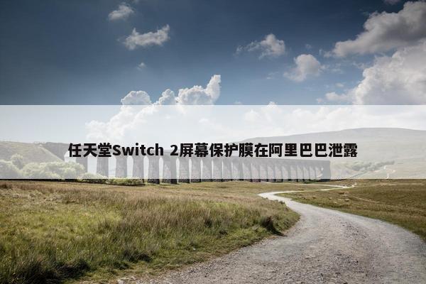 任天堂Switch 2屏幕保护膜在阿里巴巴泄露