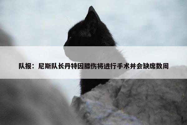 队报：尼斯队长丹特因膝伤将进行手术并会缺席数周