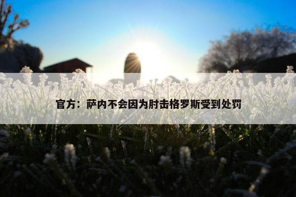 官方：萨内不会因为肘击格罗斯受到处罚