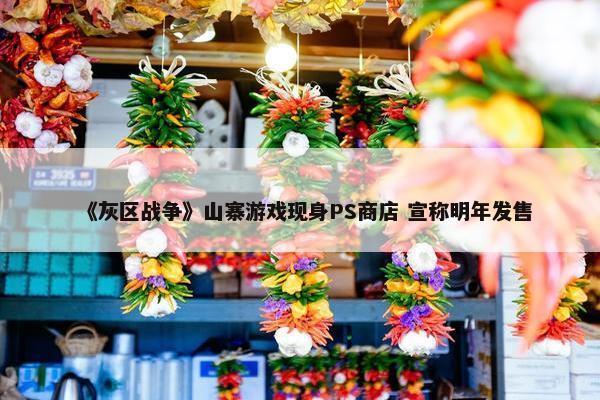 《灰区战争》山寨游戏现身PS商店 宣称明年发售