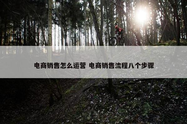 电商销售怎么运营 电商销售流程八个步骤