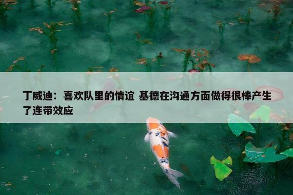 丁威迪：喜欢队里的情谊 基德在沟通方面做得很棒产生了连带效应