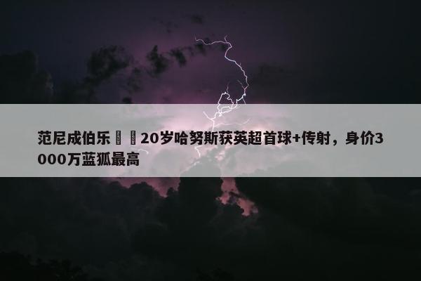 范尼成伯乐⁉️20岁哈努斯获英超首球+传射，身价3000万蓝狐最高