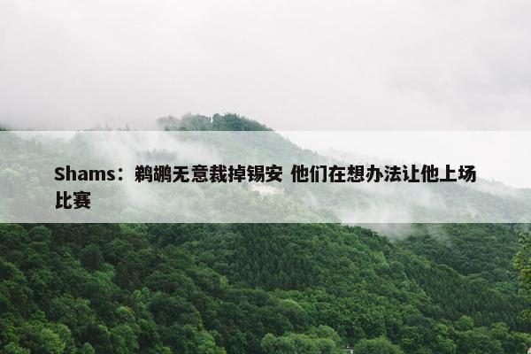 Shams：鹈鹕无意裁掉锡安 他们在想办法让他上场比赛