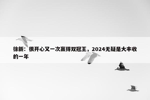 徐新：很开心又一次赢得双冠王，2024无疑是大丰收的一年