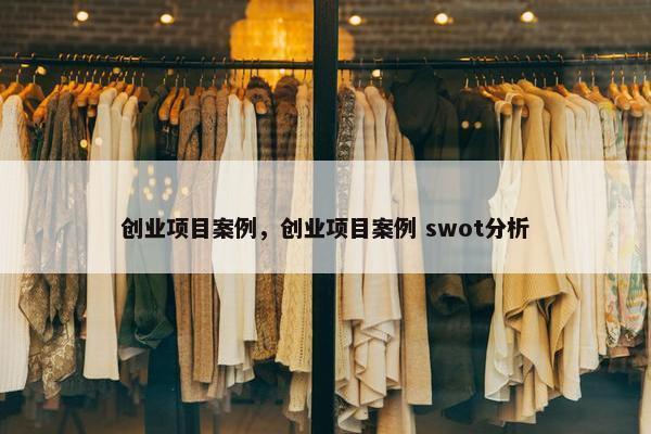 创业项目案例，创业项目案例 swot分析