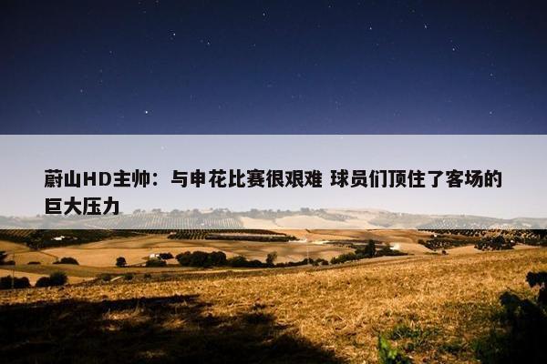 蔚山HD主帅：与申花比赛很艰难 球员们顶住了客场的巨大压力