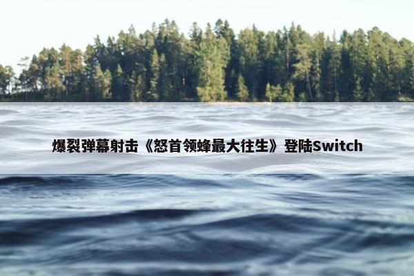 爆裂弹幕射击《怒首领蜂最大往生》登陆Switch