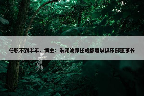 任职不到半年，博主：朱澜波卸任成都蓉城俱乐部董事长