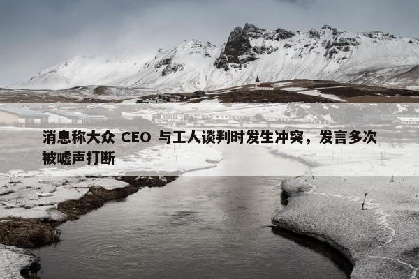 消息称大众 CEO 与工人谈判时发生冲突，发言多次被嘘声打断