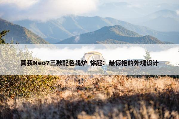 真我Neo7三款配色出炉 徐起：最惊艳的外观设计