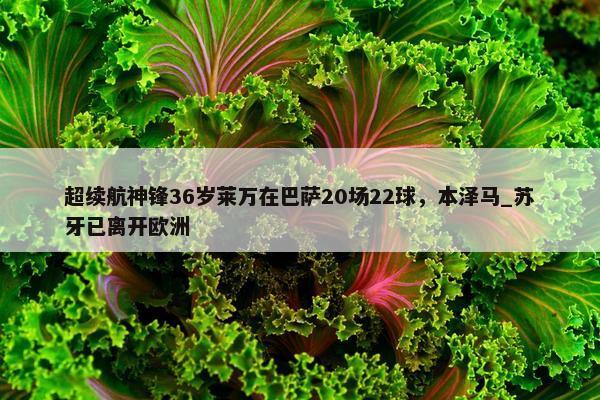 超续航神锋36岁莱万在巴萨20场22球，本泽马_苏牙已离开欧洲