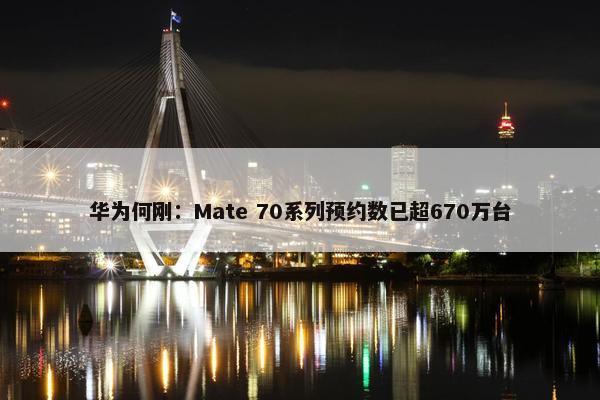 华为何刚：Mate 70系列预约数已超670万台