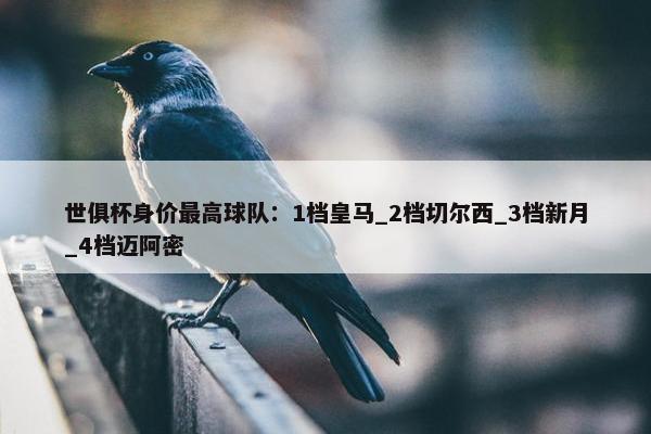 世俱杯身价最高球队：1档皇马_2档切尔西_3档新月_4档迈阿密