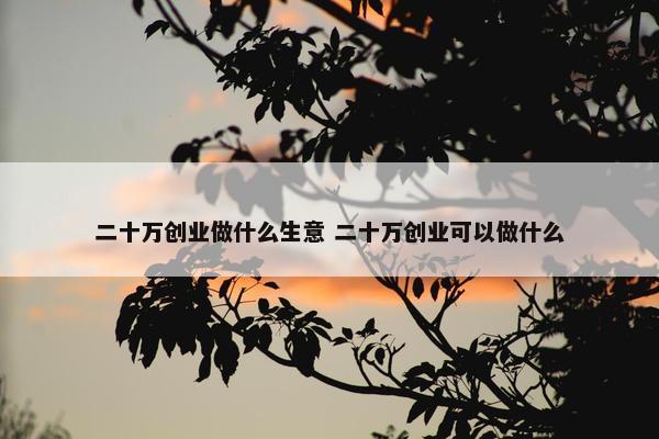 二十万创业做什么生意 二十万创业可以做什么