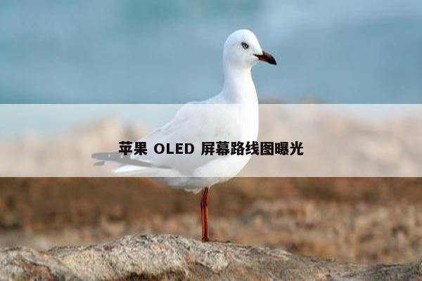 苹果 OLED 屏幕路线图曝光