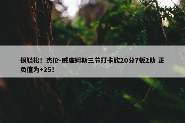 很轻松！杰伦-威廉姆斯三节打卡砍20分7板2助 正负值为+25！