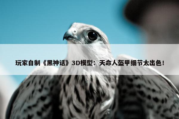 玩家自制《黑神话》3D模型：天命人盔甲细节太出色！