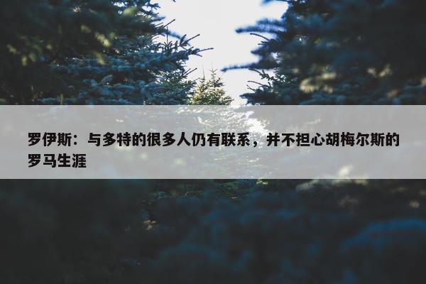 罗伊斯：与多特的很多人仍有联系，并不担心胡梅尔斯的罗马生涯