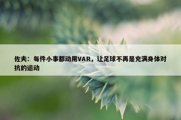 佐夫：每件小事都动用VAR，让足球不再是充满身体对抗的运动