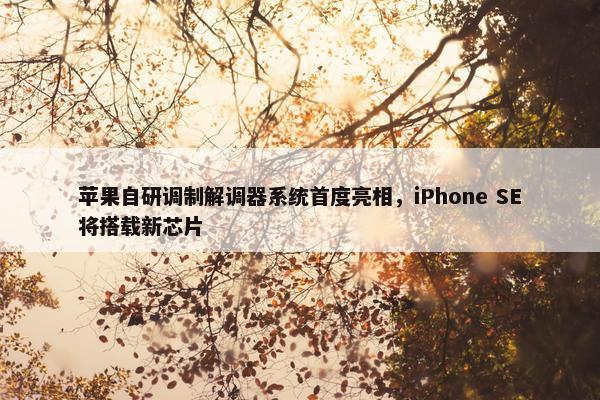 苹果自研调制解调器系统首度亮相，iPhone SE将搭载新芯片