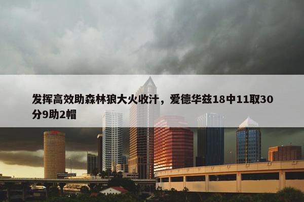 发挥高效助森林狼大火收汁，爱德华兹18中11取30分9助2帽