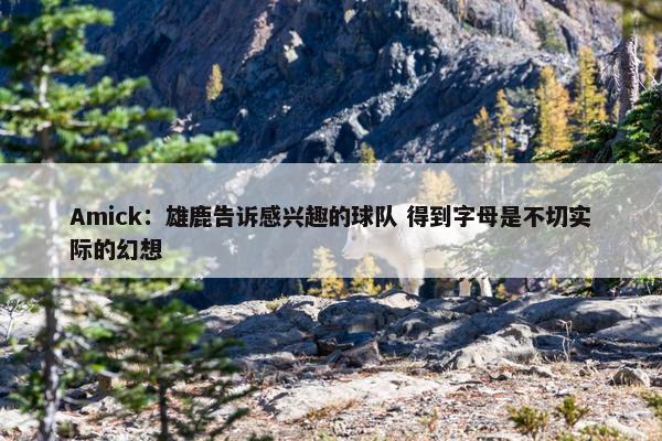 Amick：雄鹿告诉感兴趣的球队 得到字母是不切实际的幻想