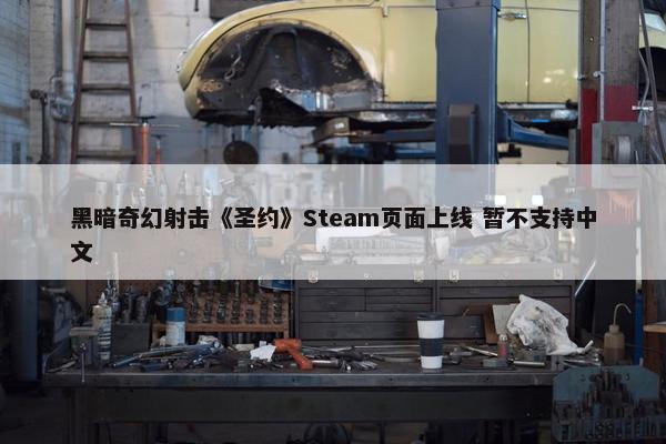 黑暗奇幻射击《圣约》Steam页面上线 暂不支持中文