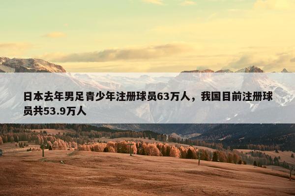 日本去年男足青少年注册球员63万人，我国目前注册球员共53.9万人