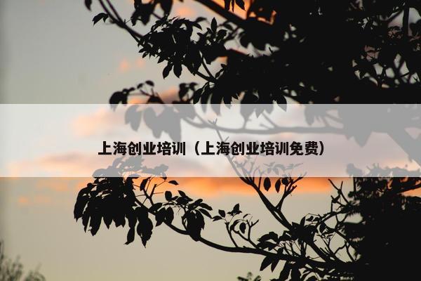 上海创业培训（上海创业培训免费）