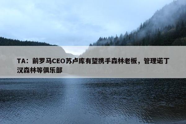 TA：前罗马CEO苏卢库有望携手森林老板，管理诺丁汉森林等俱乐部