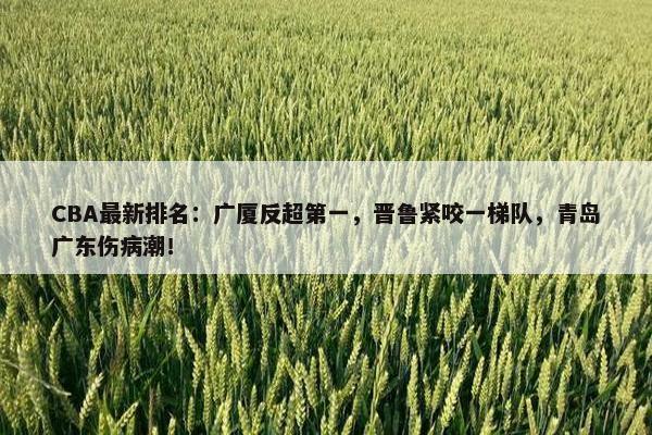 CBA最新排名：广厦反超第一，晋鲁紧咬一梯队，青岛广东伤病潮！