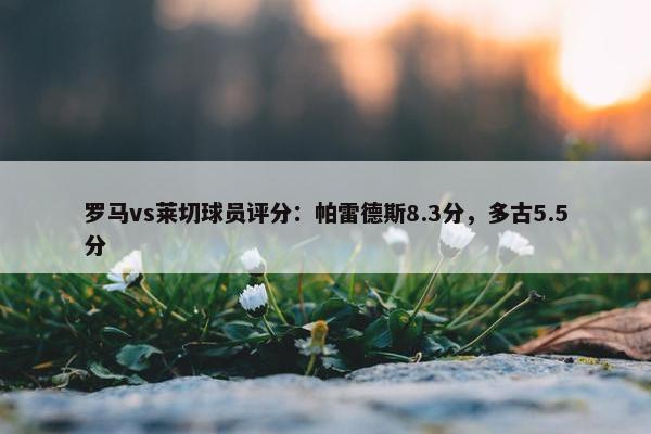 罗马vs莱切球员评分：帕雷德斯8.3分，多古5.5分