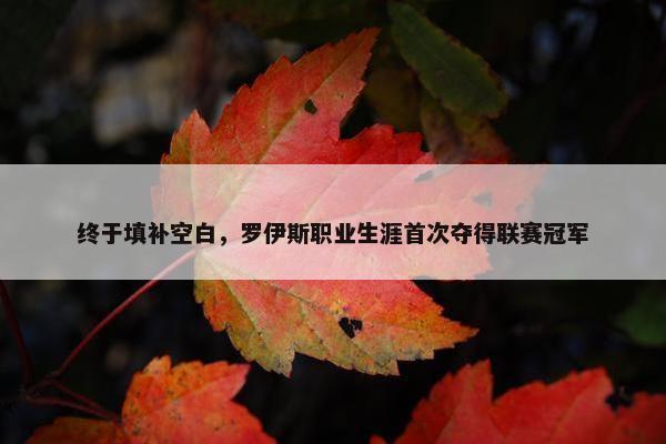 终于填补空白，罗伊斯职业生涯首次夺得联赛冠军