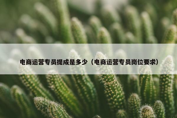 电商运营专员提成是多少（电商运营专员岗位要求）