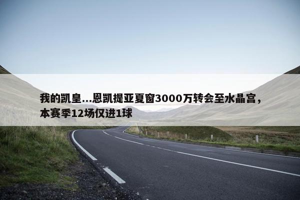 我的凯皇...恩凯提亚夏窗3000万转会至水晶宫，本赛季12场仅进1球