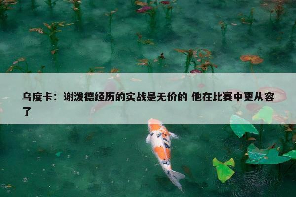 乌度卡：谢泼德经历的实战是无价的 他在比赛中更从容了