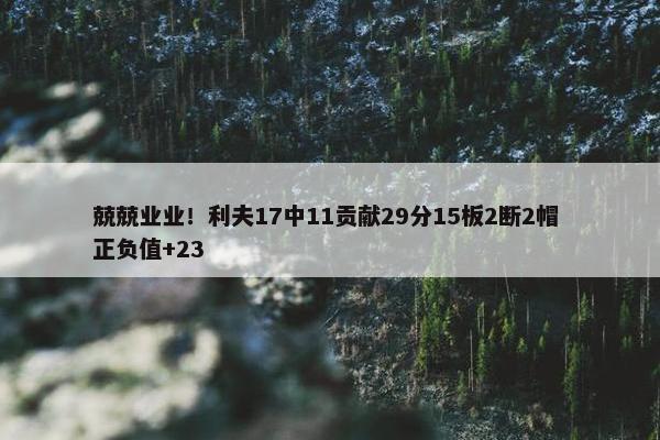 兢兢业业！利夫17中11贡献29分15板2断2帽 正负值+23