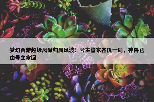 梦幻西游超级风泽归属风波：号主管家各执一词，神兽已由号主拿回