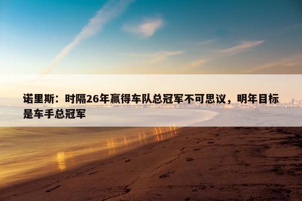 诺里斯：时隔26年赢得车队总冠军不可思议，明年目标是车手总冠军