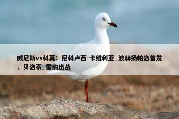 威尼斯vs科莫：尼科卢西-卡维利亚_波赫扬帕洛首发，贝洛蒂_雷纳出战