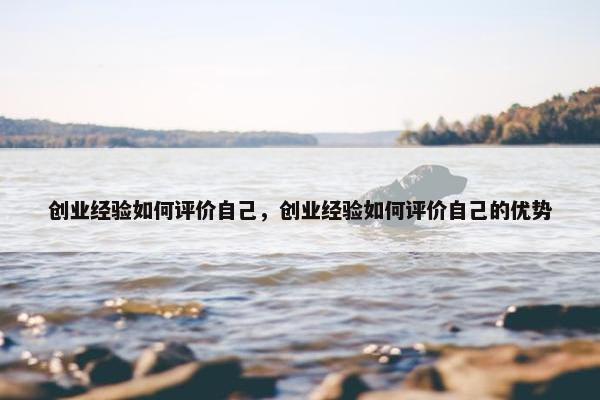 创业经验如何评价自己，创业经验如何评价自己的优势