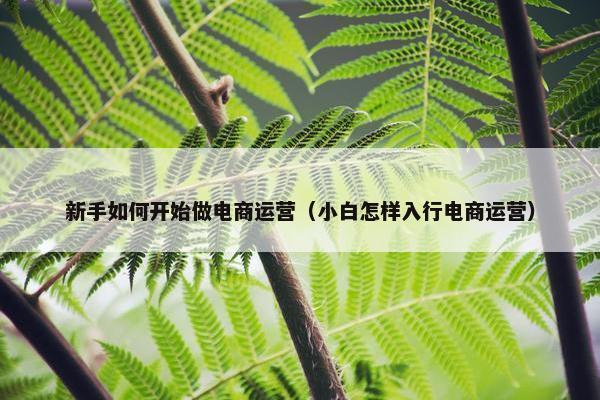 新手如何开始做电商运营（小白怎样入行电商运营）